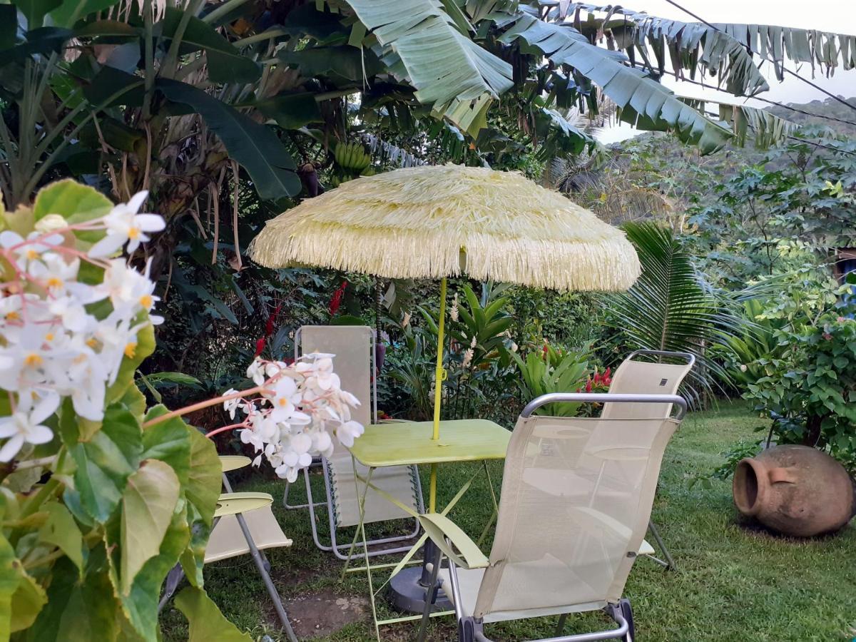 Terrasse Du Piton Bed & Breakfast Deshaies Exterior foto